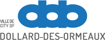 DDO Logo